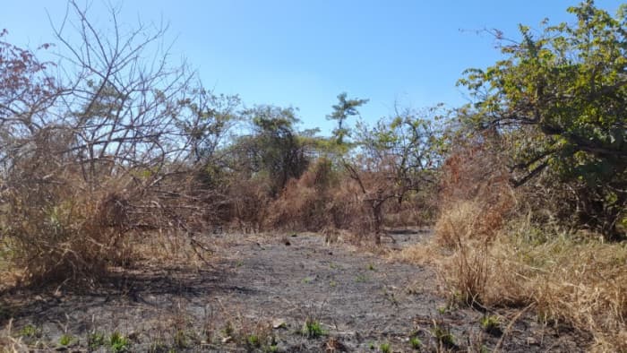 Terreno de 14 x 50 metros en Venta Quintas Malibu - foto 4