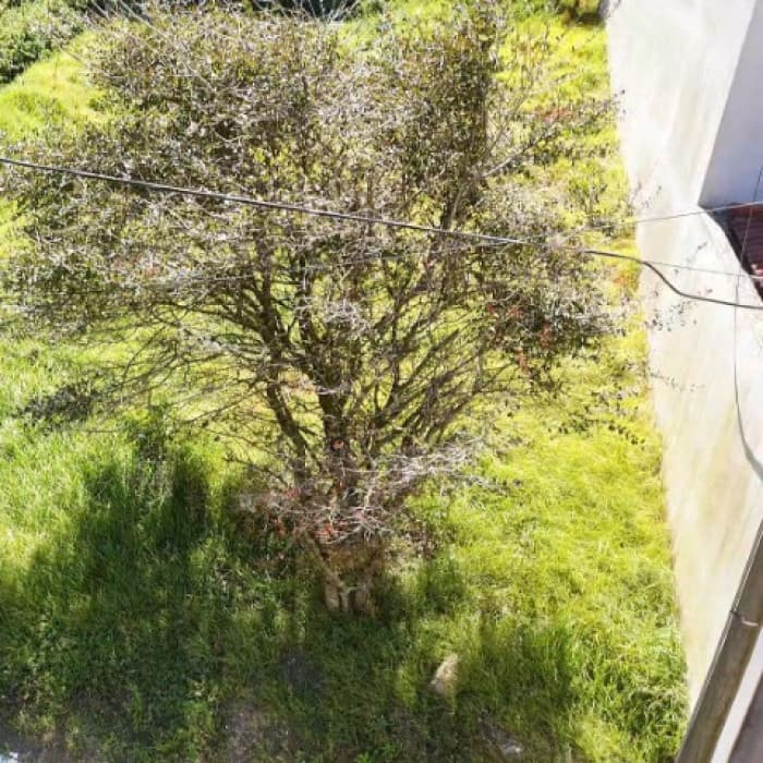 Terreno en Venta Terravista Coventry Carr a El Salvador - foto 4