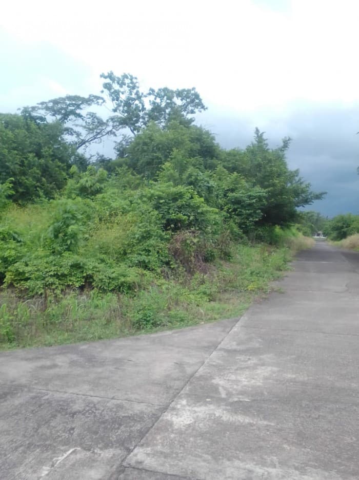 Terreno Grande en Venta Cataratas de Uxmel, Masagua - foto 4