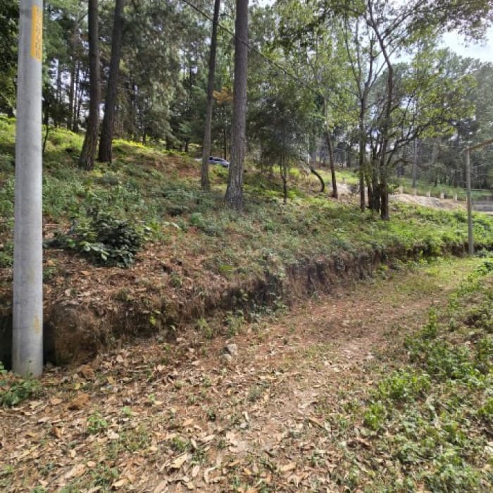 Terreno en Venta Los Horizontes Santo Domingo Xenacoj - foto 2