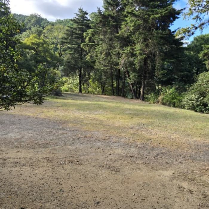 Terreno Comercial en Alquiler Finca Labor de Castilla - foto 3