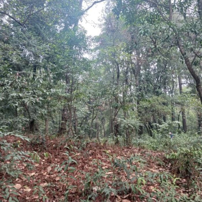 Terreno Comercial en Renta en Carretera Interamericana - foto 4