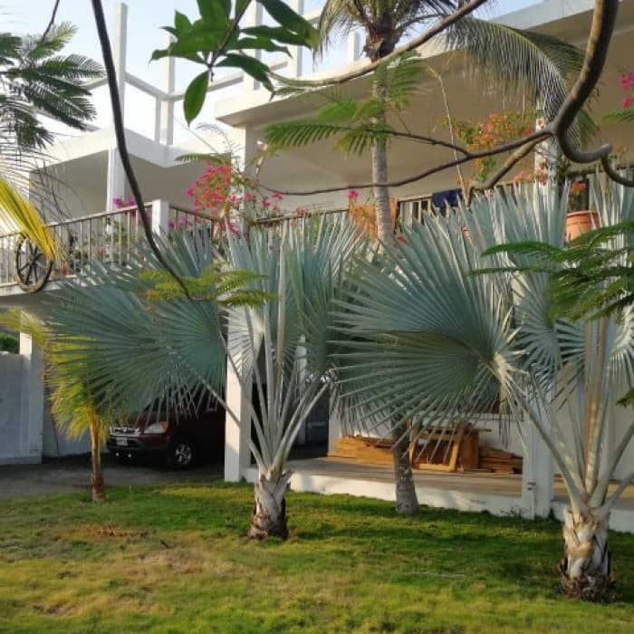 Casa en Venta Aldea el Hawai, Chiquimulilla, Santa Rosa - foto 3