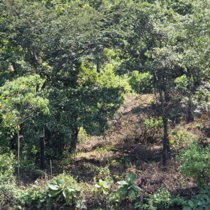 Terreno en Venta Lotificación Quintas del Tejar KM 46 - foto 4