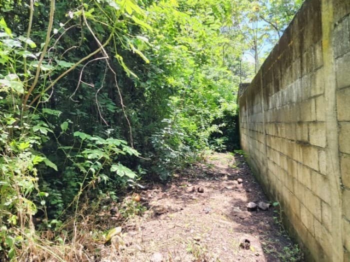 Terreno en Venta Cañadas de Torre Molinos Escuintla - foto 4