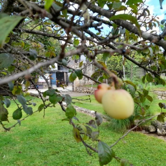 Casa en Venta en Santa Apolonia, Tecpán, Chimaltenango - foto 3
