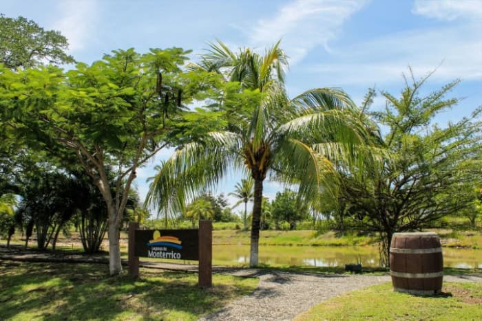 Terreno en Venta en Taxisco Santa Rosa KM 117 Lagunas - foto 4
