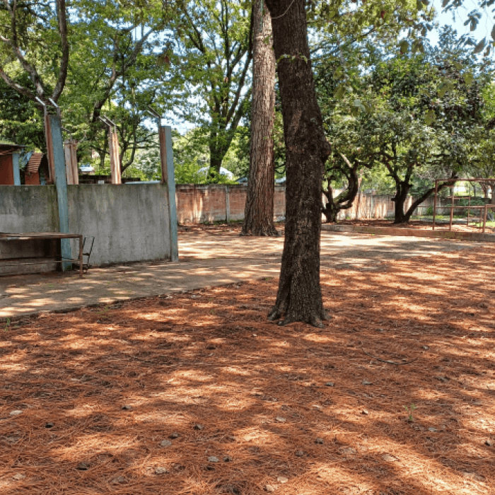 Terreno Comercial en Renta hacia Satelite Zona 9 Mixco - foto 8