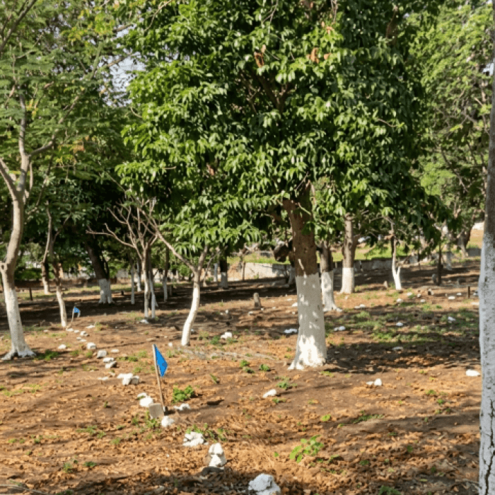 Terreno Residencial en Venta Cuilapa Santa Rosa - foto 2
