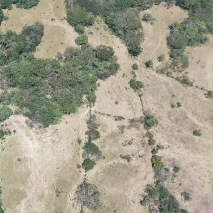 Terreno en Venta Aldea Xayá, Santa Lucía Cotzumalguapa - foto 4