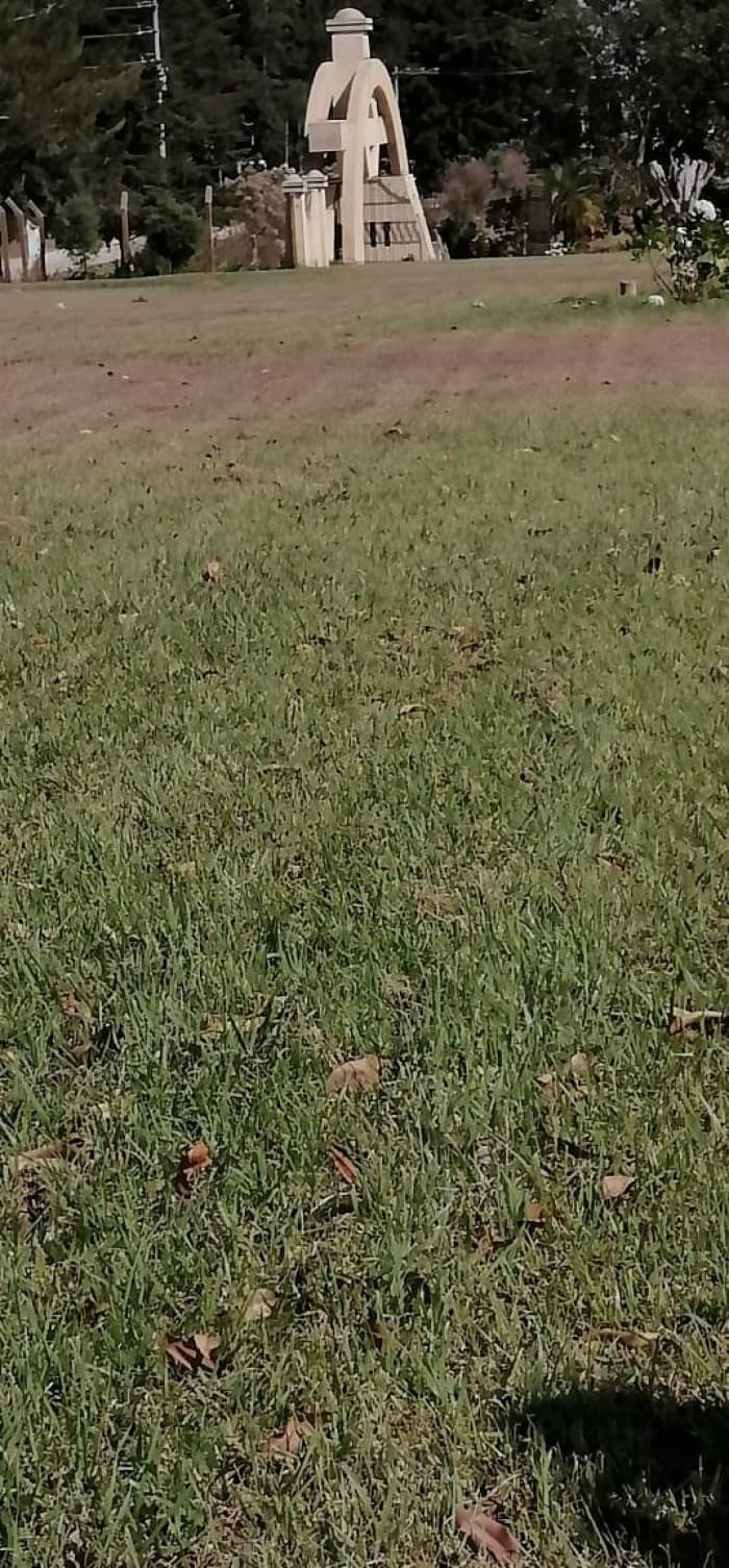 Terreno en Venta de 3 Criptas Cementerio Los Olivos CES - foto 3