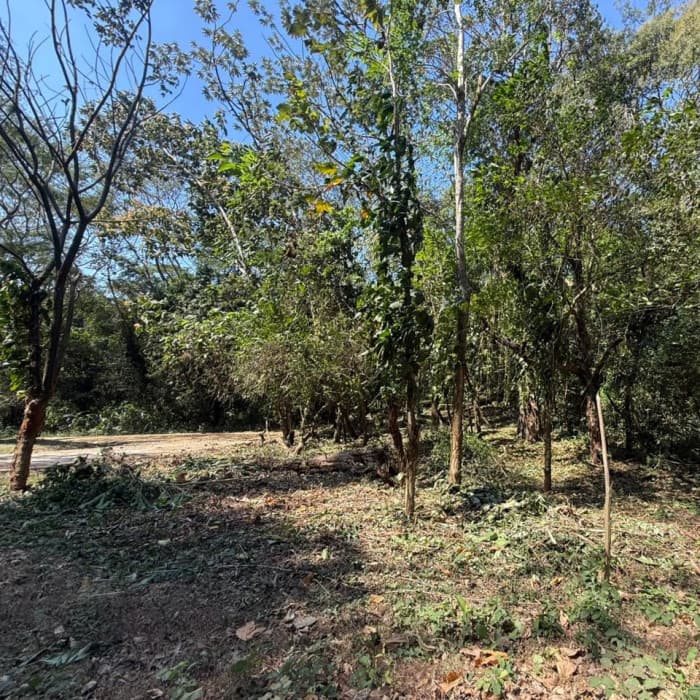 Lote en Venta RioSul, Escuintla, Guatemala - foto 4