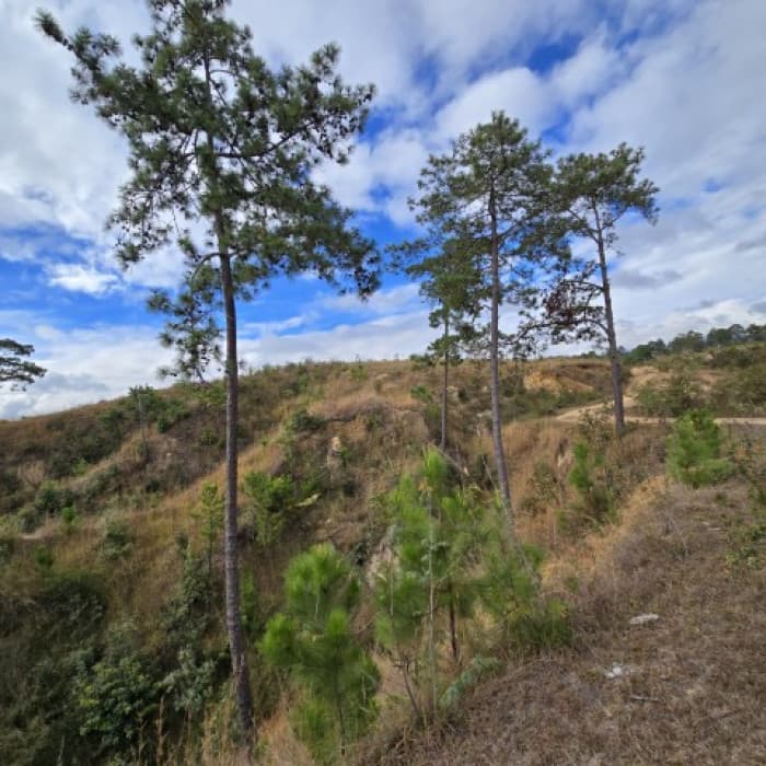 Terreno en Venta San Pedro Sacatepéquez, Guatemala - foto 4