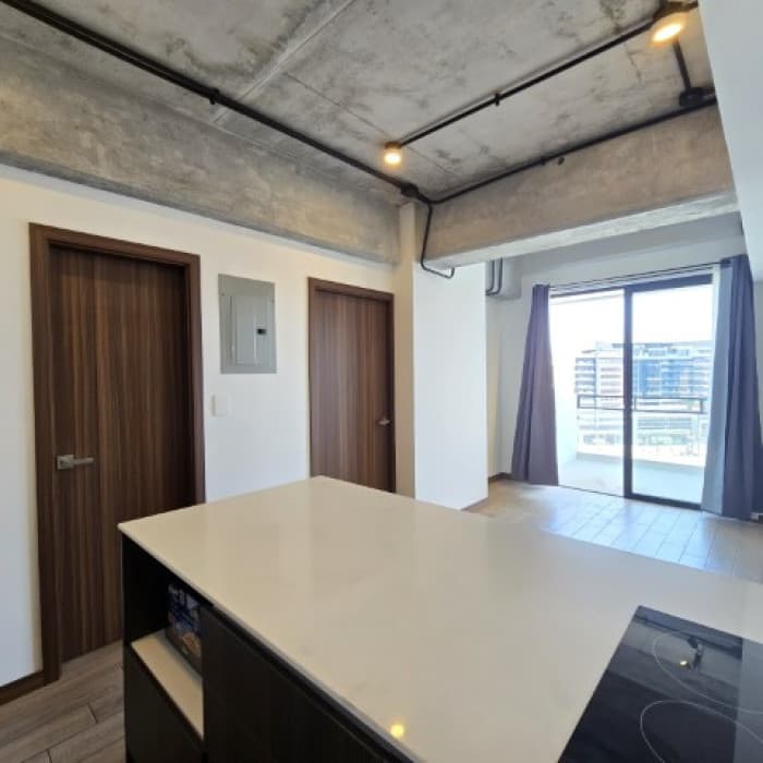 Apartamento en Renta Zona 4 INARA Cuatro Norte - foto 4