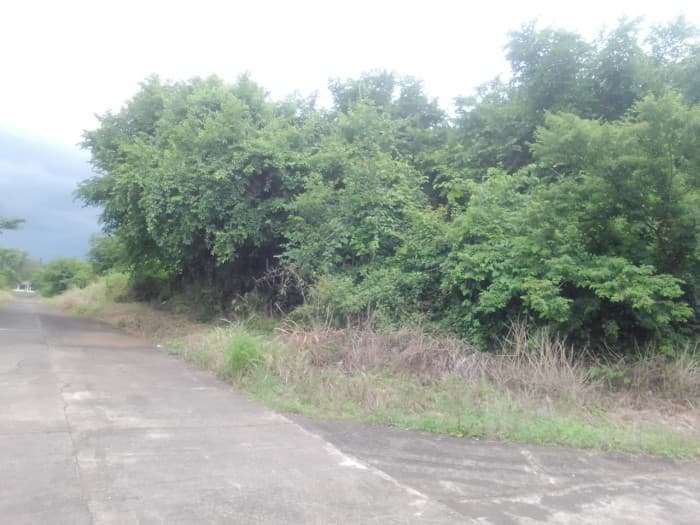 Terreno Grande en Venta Cataratas de Uxmel, Masagua - foto 2