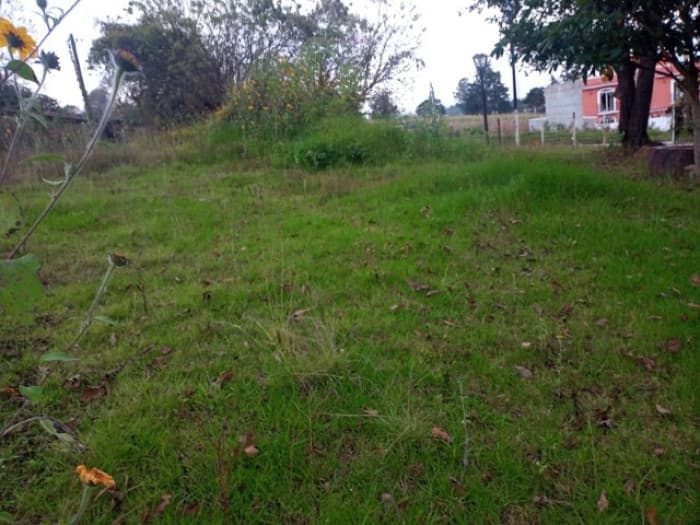 Terreno Comercial en Renta Quiché, Guatemala - foto 3