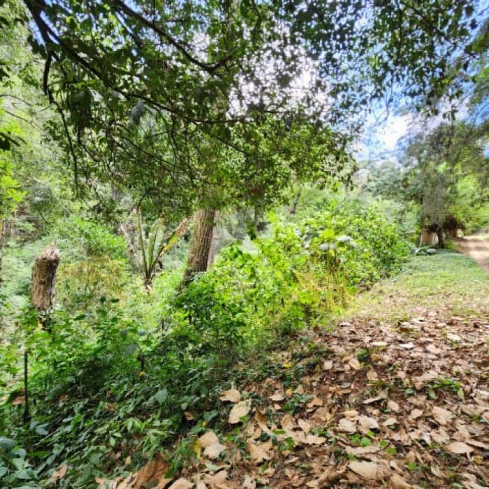 Terreno en Venta Santiago Sacatepéquez, Jardin El Alto - foto 2