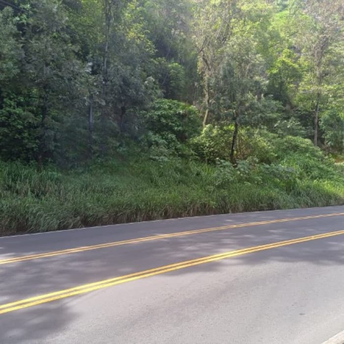 Terreno Comercial sobre Carretera Hacia Boca del Monte - foto 3