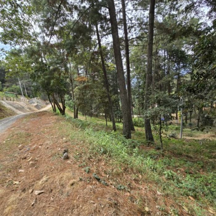 Terreno en Venta Los Horizontes Santo Domingo Xenacoj - foto 4