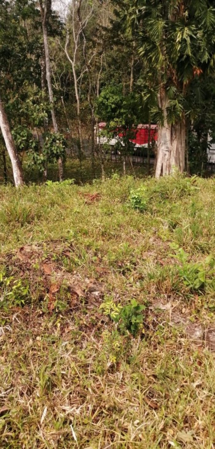 Terreno en Venta Los Amates Izabal, Guatemala - foto 3