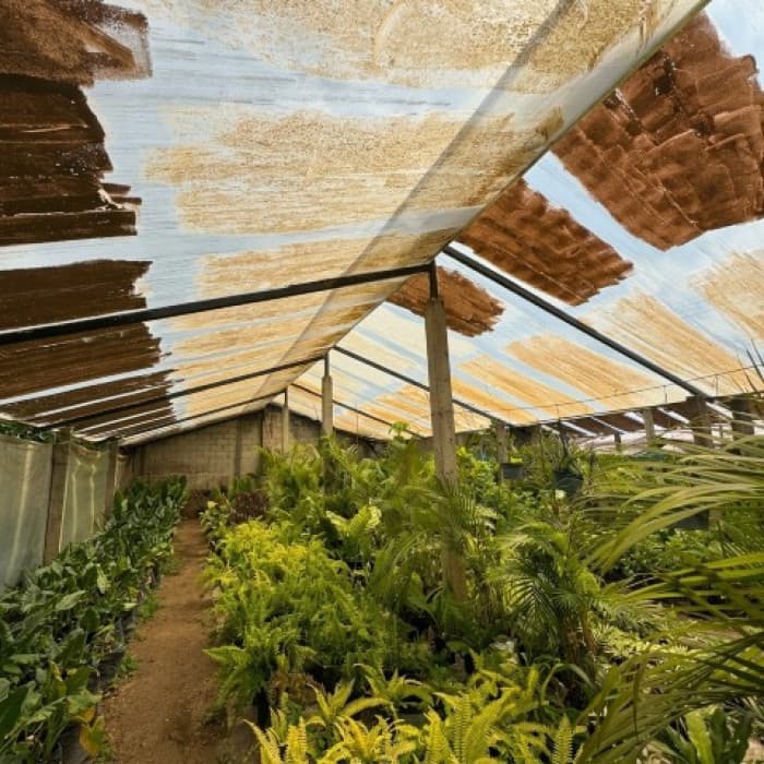 Terreno Comercial en Renta Zona 4 Socabal Chimaltenango - foto 10