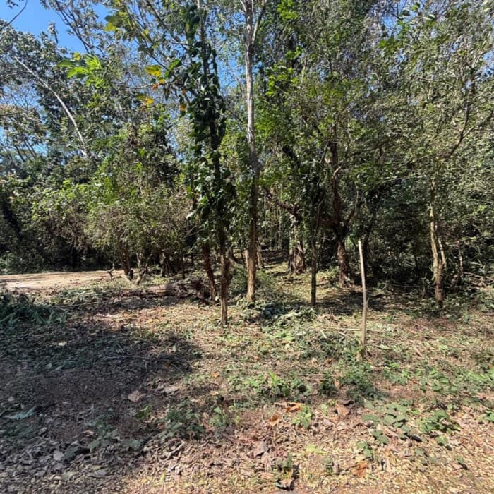 Lote en Venta RioSul, Escuintla, Guatemala - foto 2