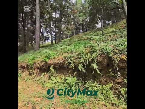 Video Recorrido