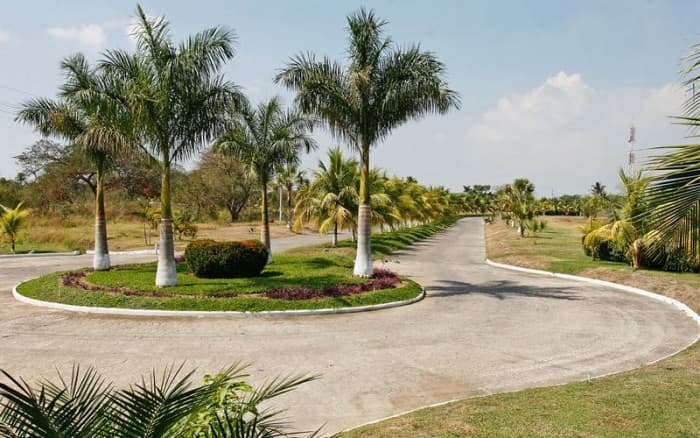 Terreno en Venta Km. 117 Carretera a Taxisco, Lagunas - foto 1