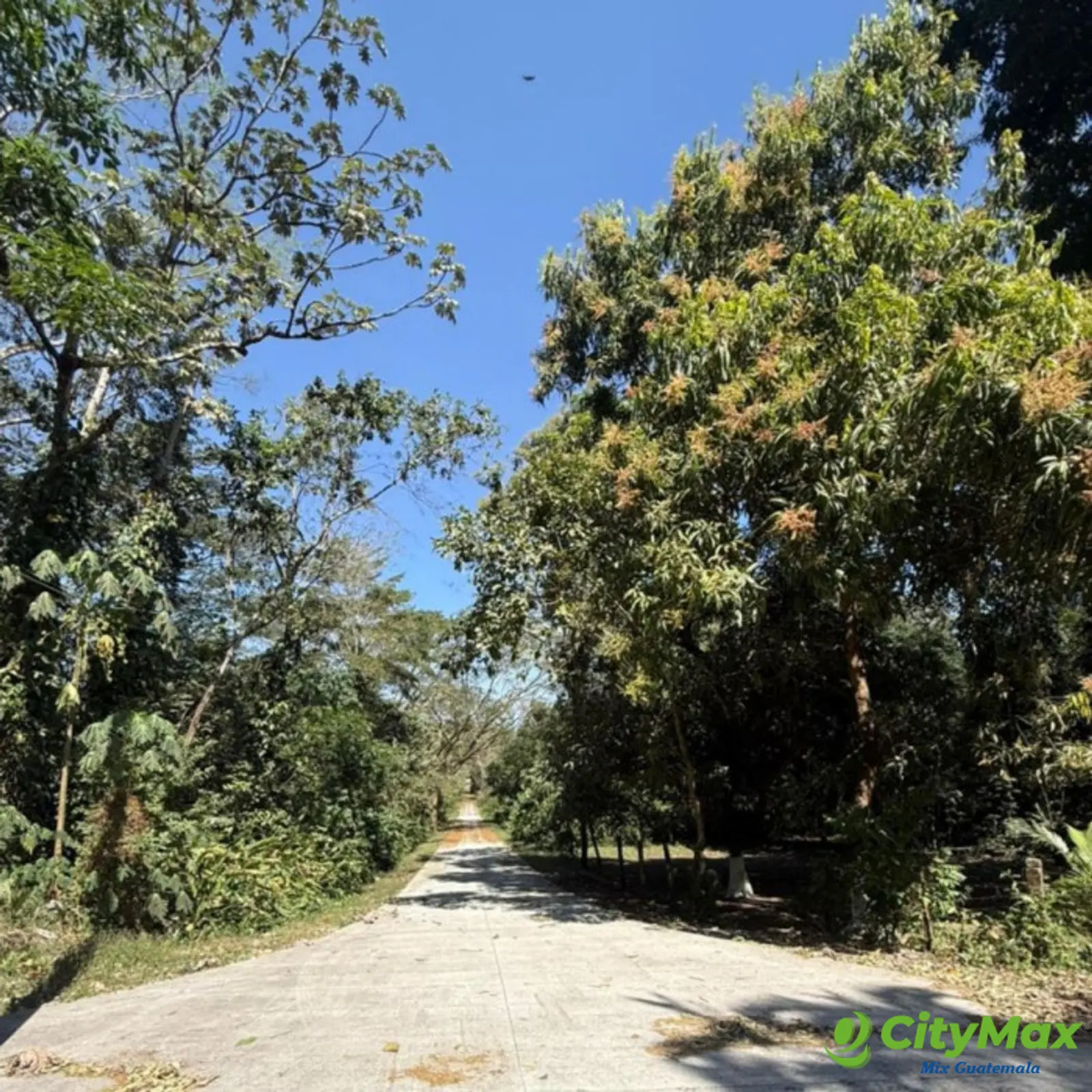 Lote en Venta RioSul, Escuintla, Guatemala - foto 1