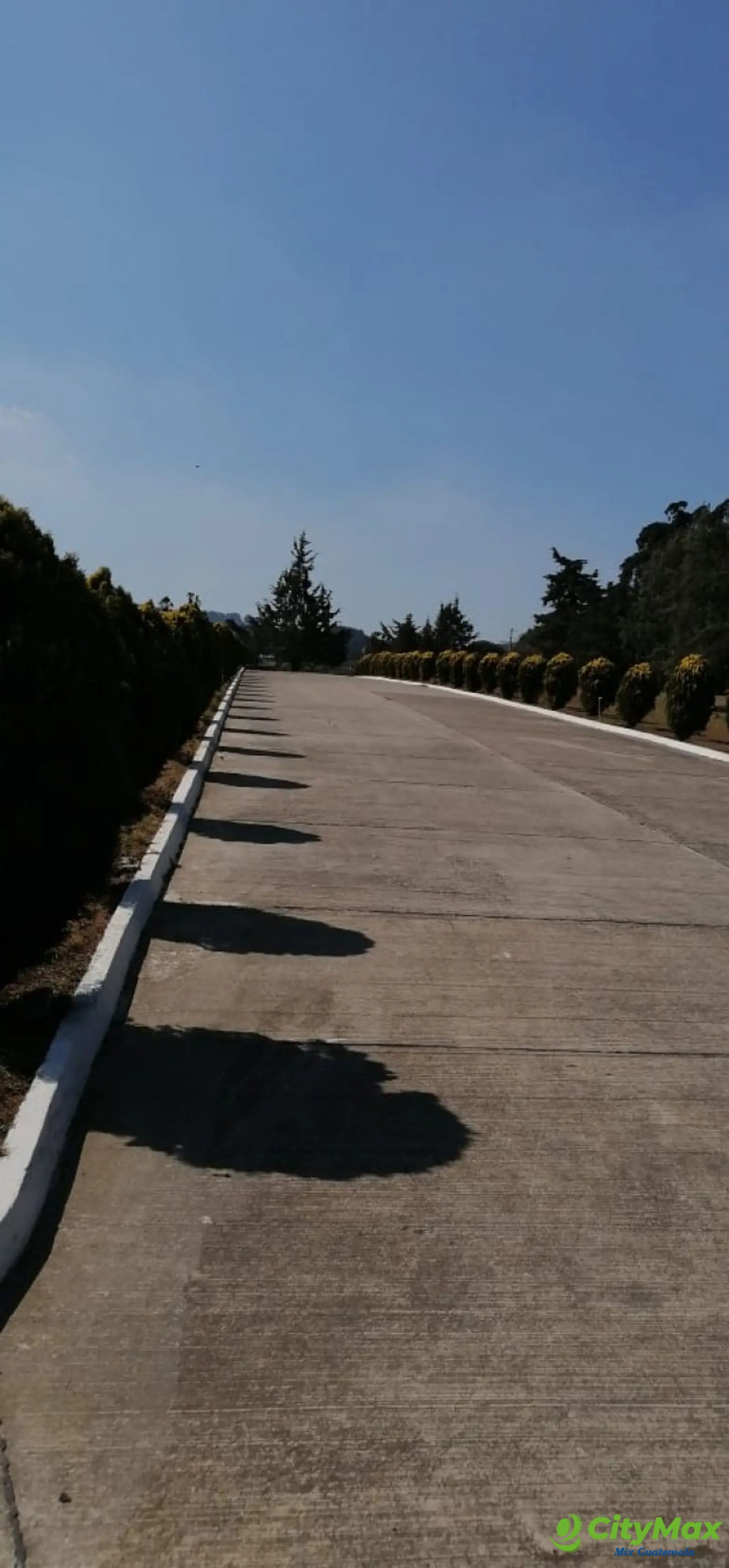 Terreno en Venta de 3 Criptas Cementerio Los Olivos CES - foto 1