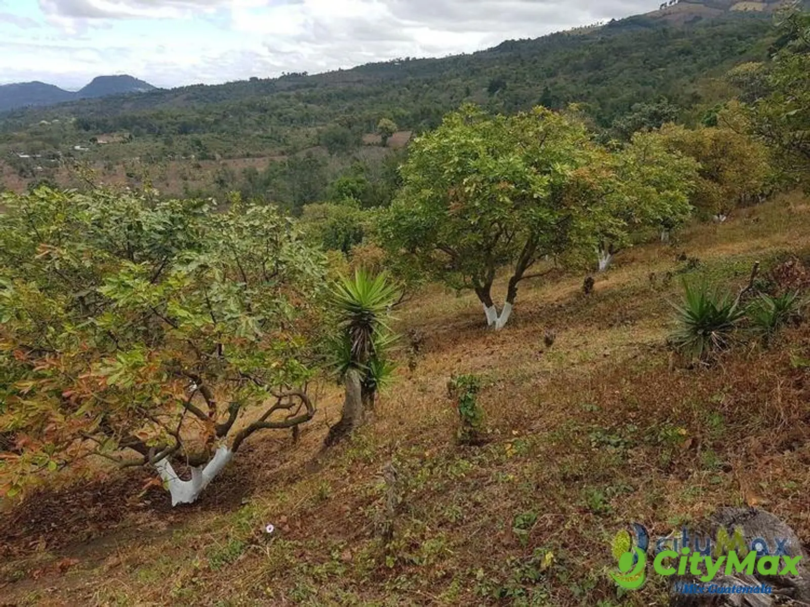 Terreno en Venta de 2.6 manzanas en San Vicente Pacaya - foto 1