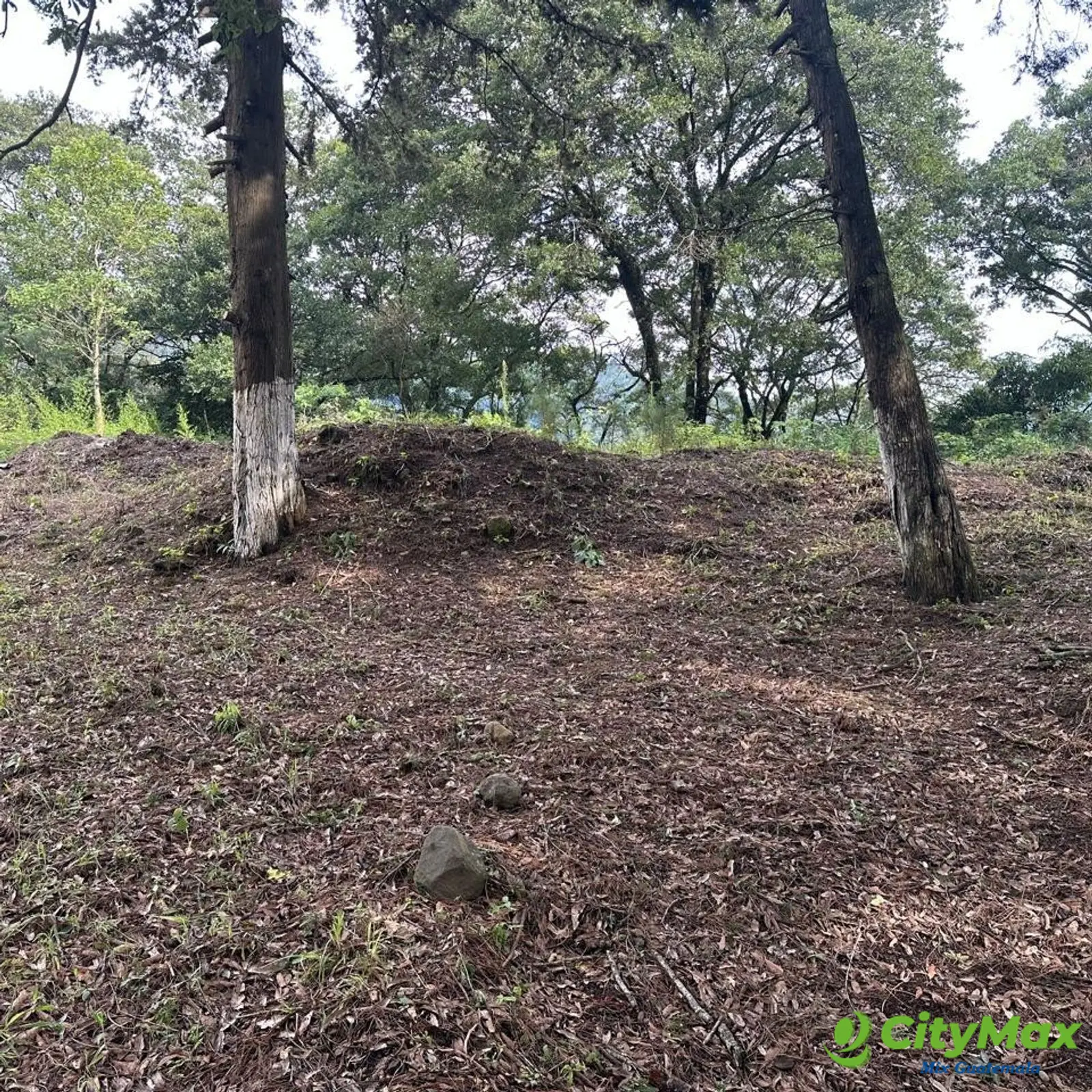 Terreno en Venta Granja Buenos Aires, Fraijanes - foto 1