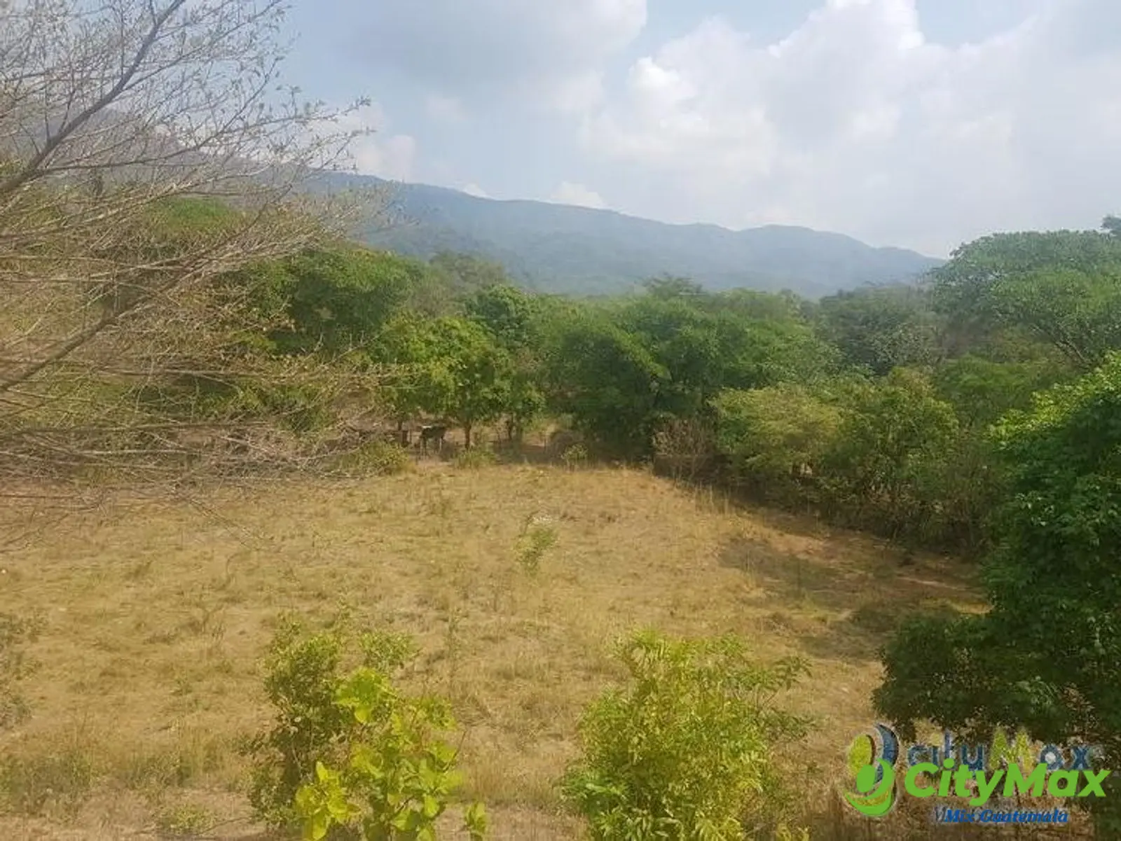 Vendo Finca de 8.8 mazanas en Oratorio, Santa Rosa - foto 1