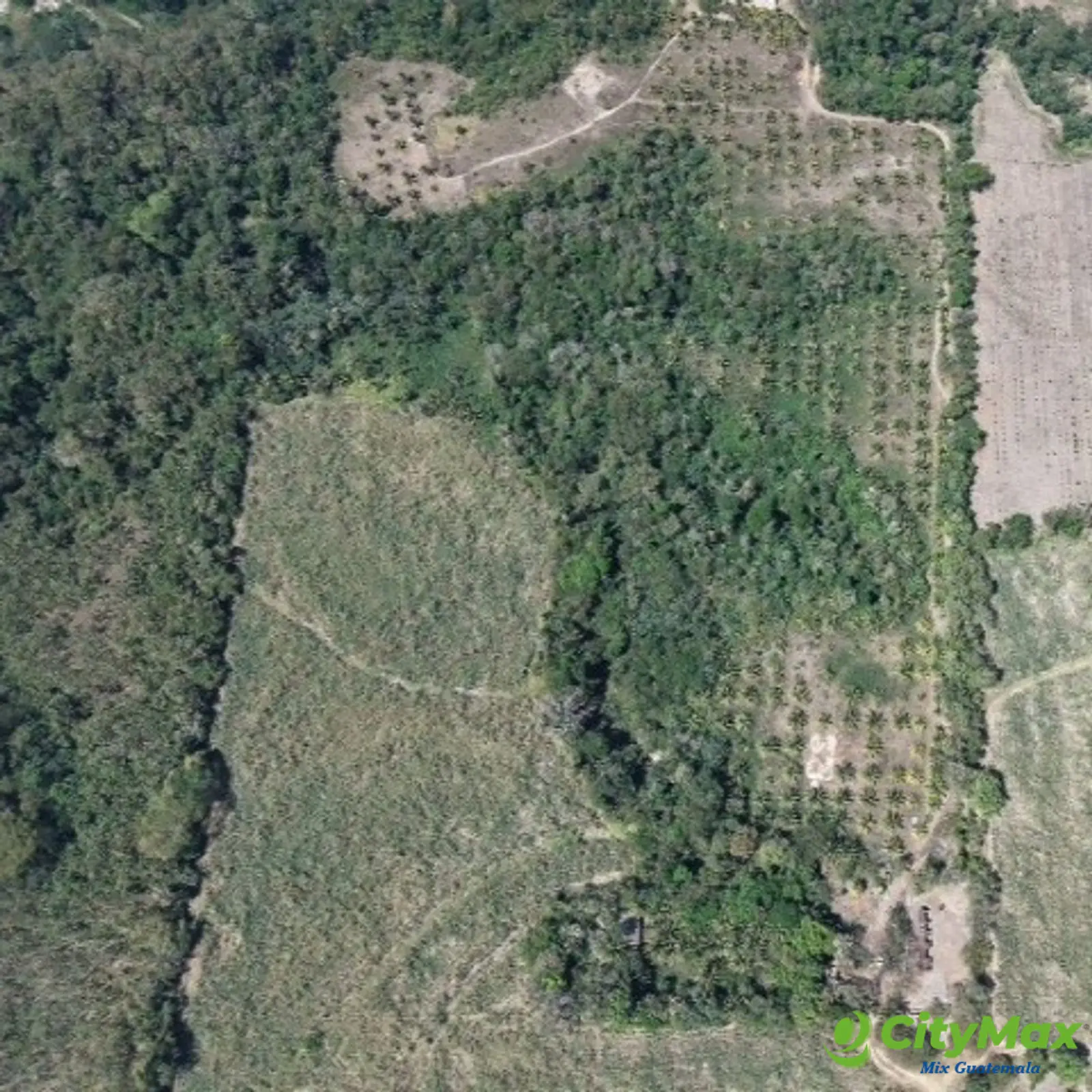 Terreno en Venta Aldea Xayá, Santa Lucía Cotzumalguapa - foto 1