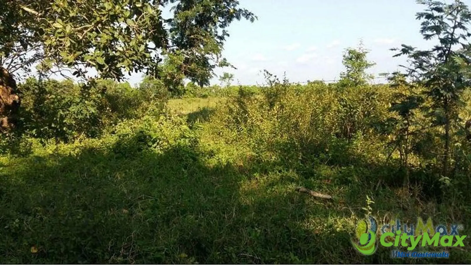 Terreno en Venta en San Andres Villa Seca Retalhuleu - foto 1