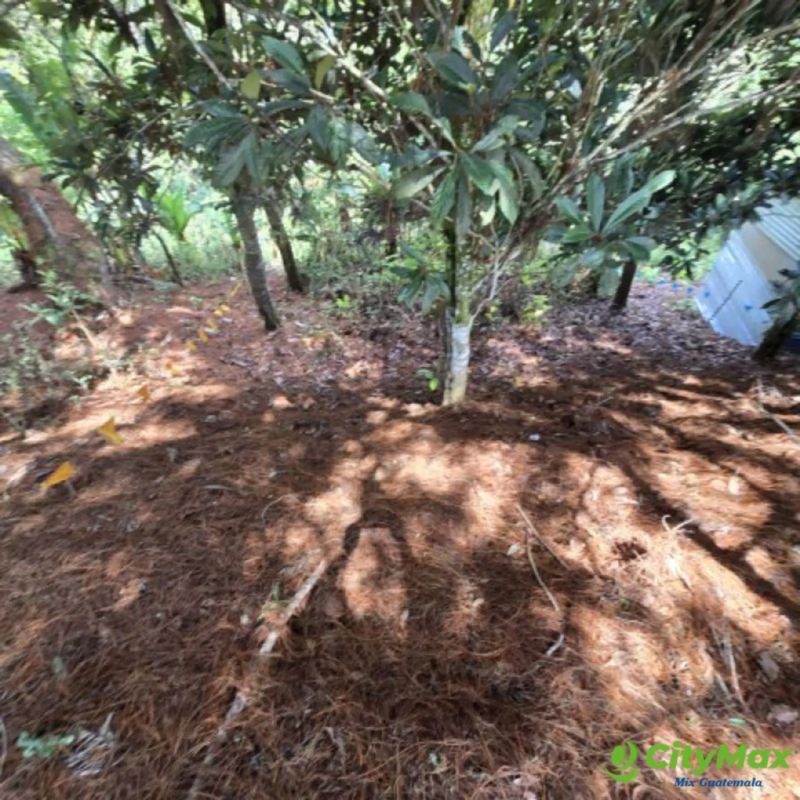 Lote en Venta Carretera a El Salvador Res. San Antonio - foto 9