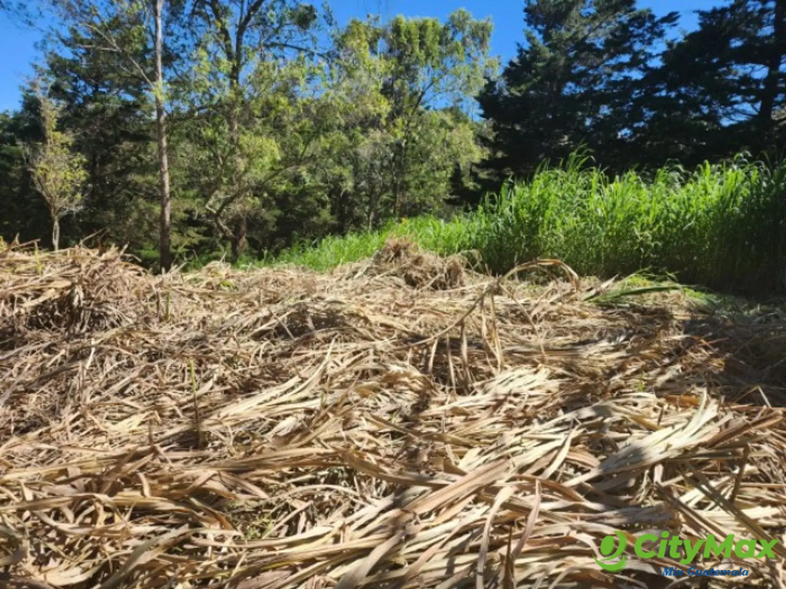 Terreno en Venta Fraijanes dentro de garita, Km 21 CES - foto 7