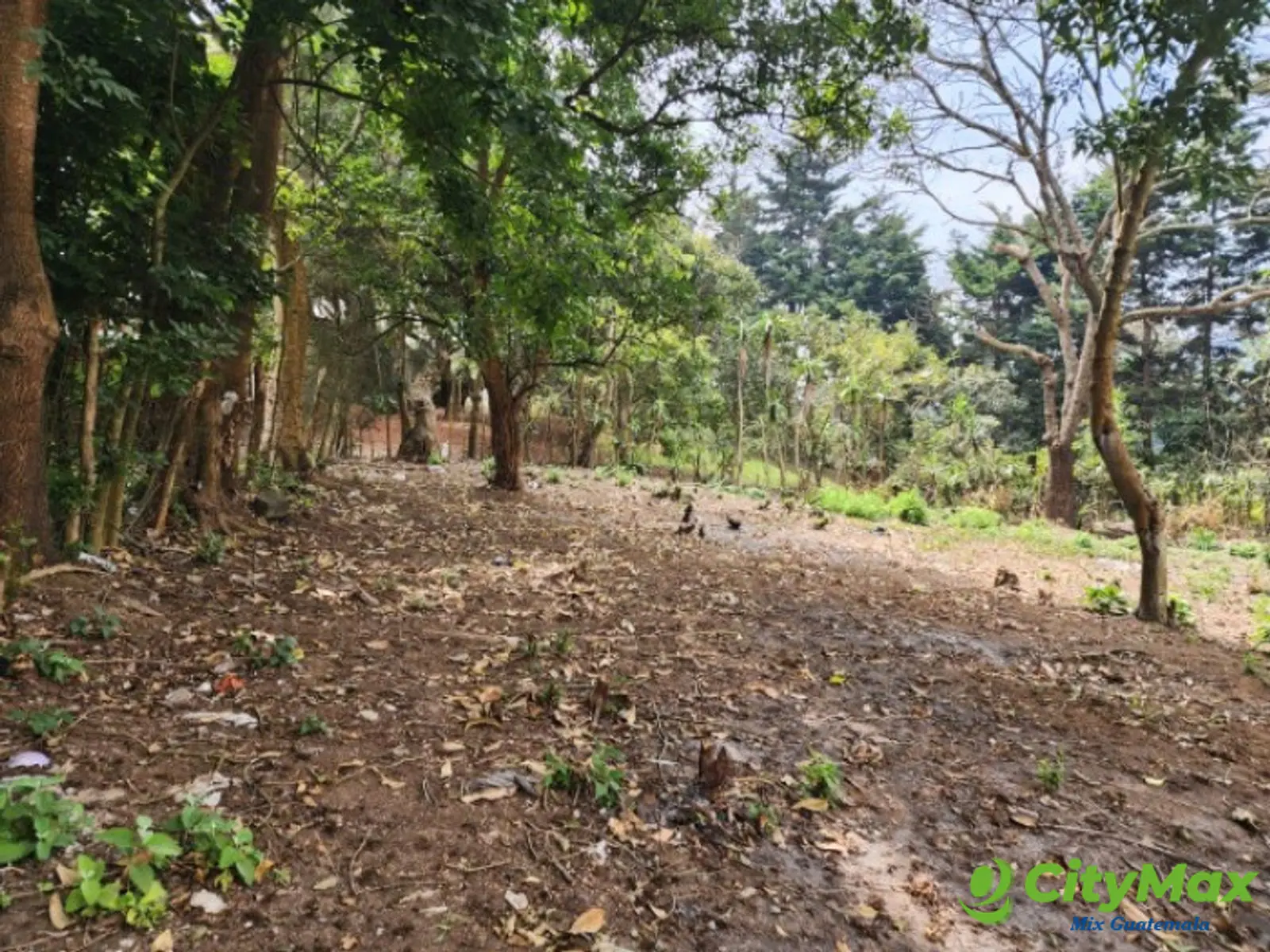 Terreno Comercial en Renta Ruta Interamericana Sn Lucas - foto 8