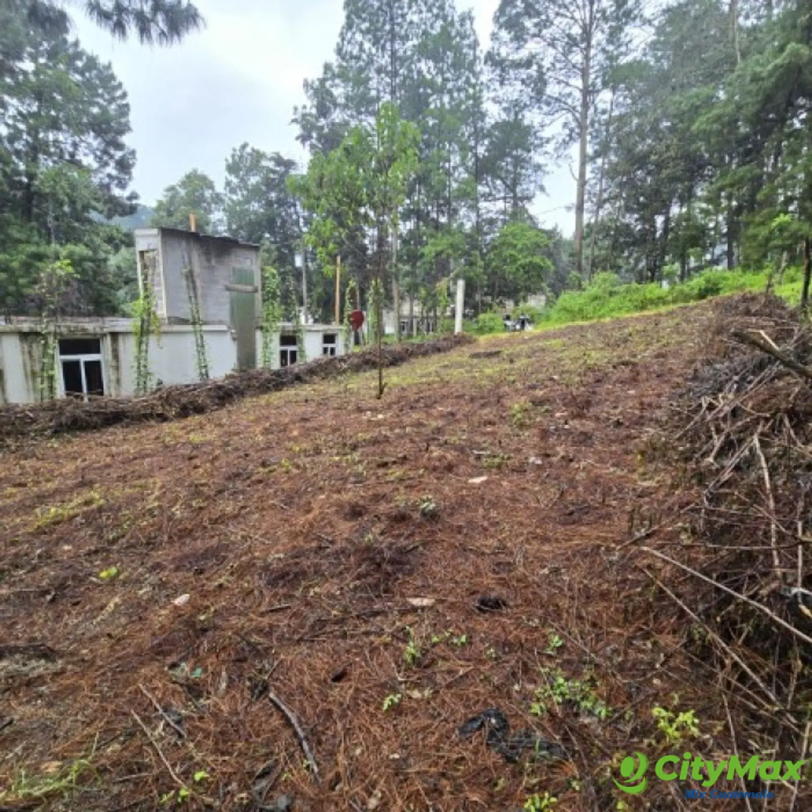 Terreno en Venta Hacienda Manzanales Santa María Cauque - foto 6