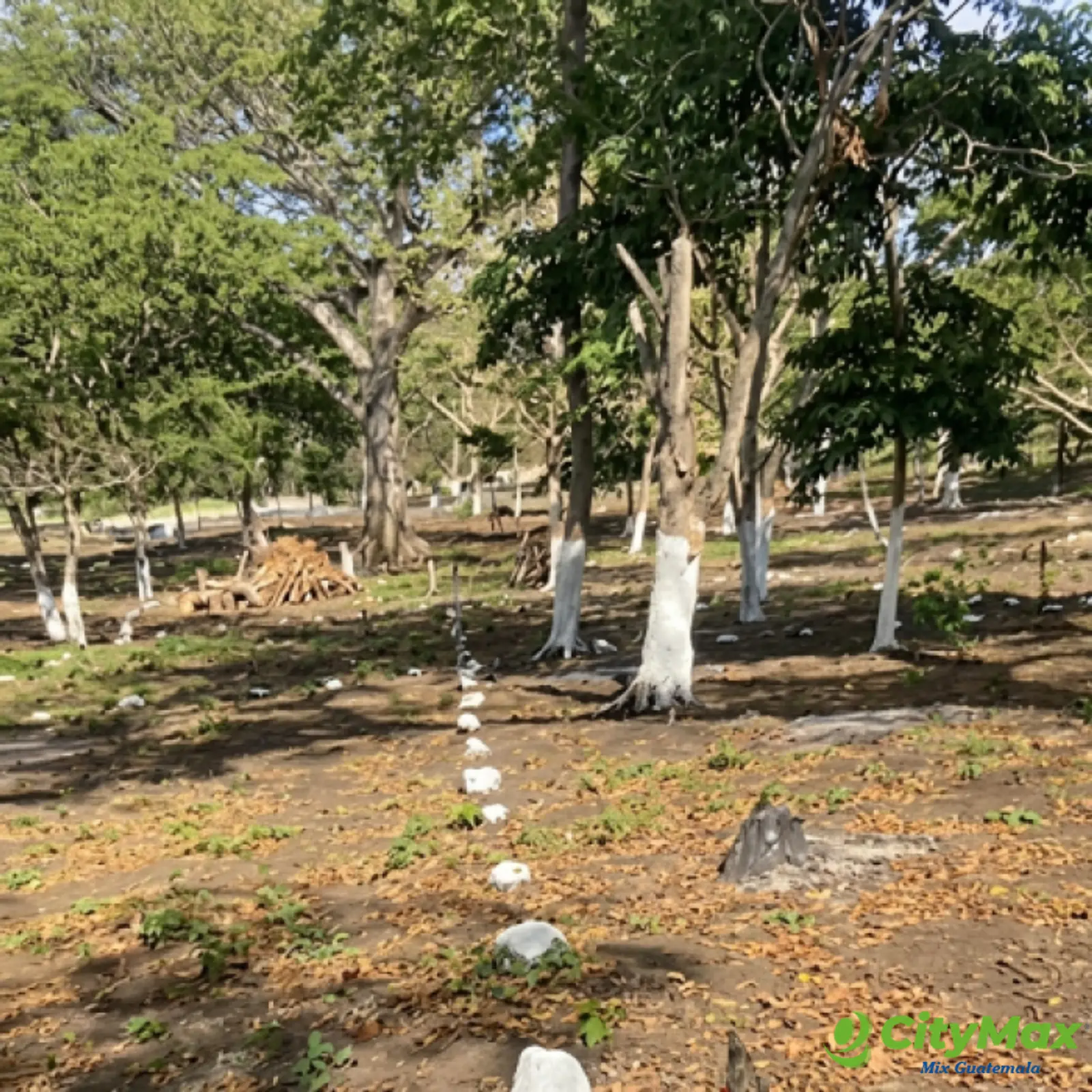 Terreno Residencial en Venta Cuilapa Santa Rosa - foto 4