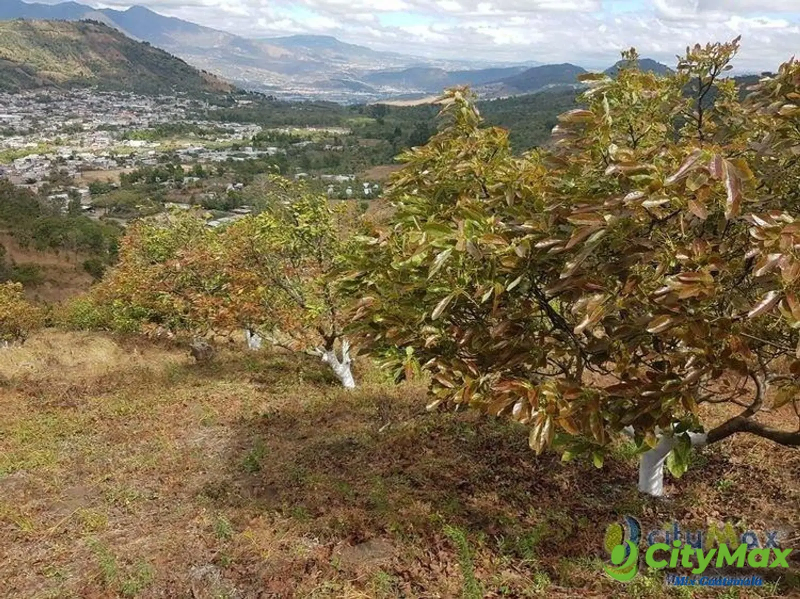 Terreno en Venta de 2.6 manzanas en San Vicente Pacaya - foto 4