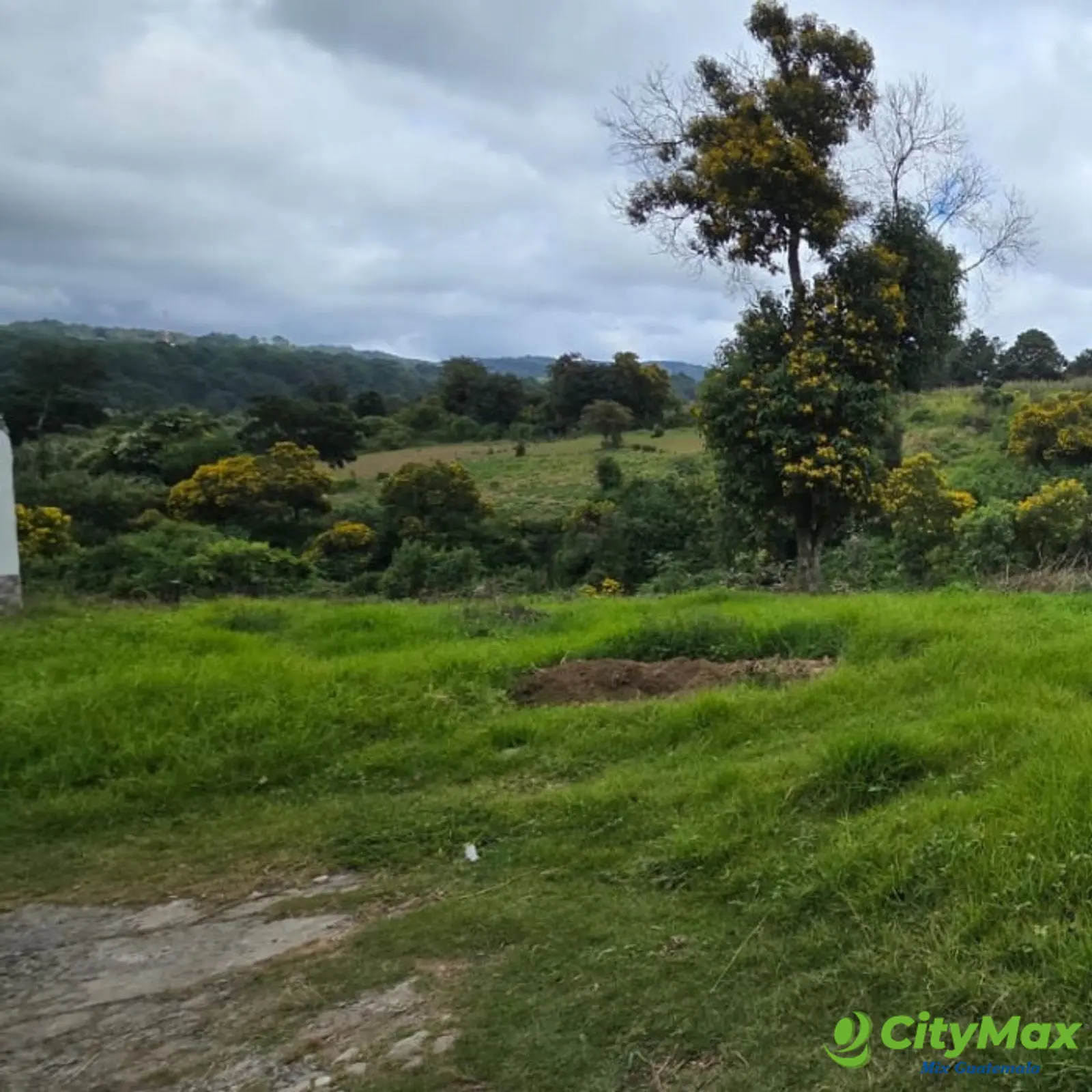 Terreno en Venta Granja Villas Alicia KM 32.9 Santiago - foto 5