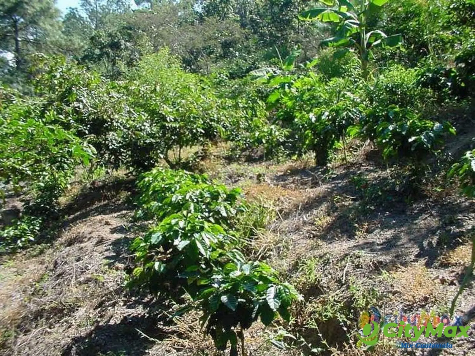 Vendo Finca Rustica en San Pedro Ayampuc - foto 3