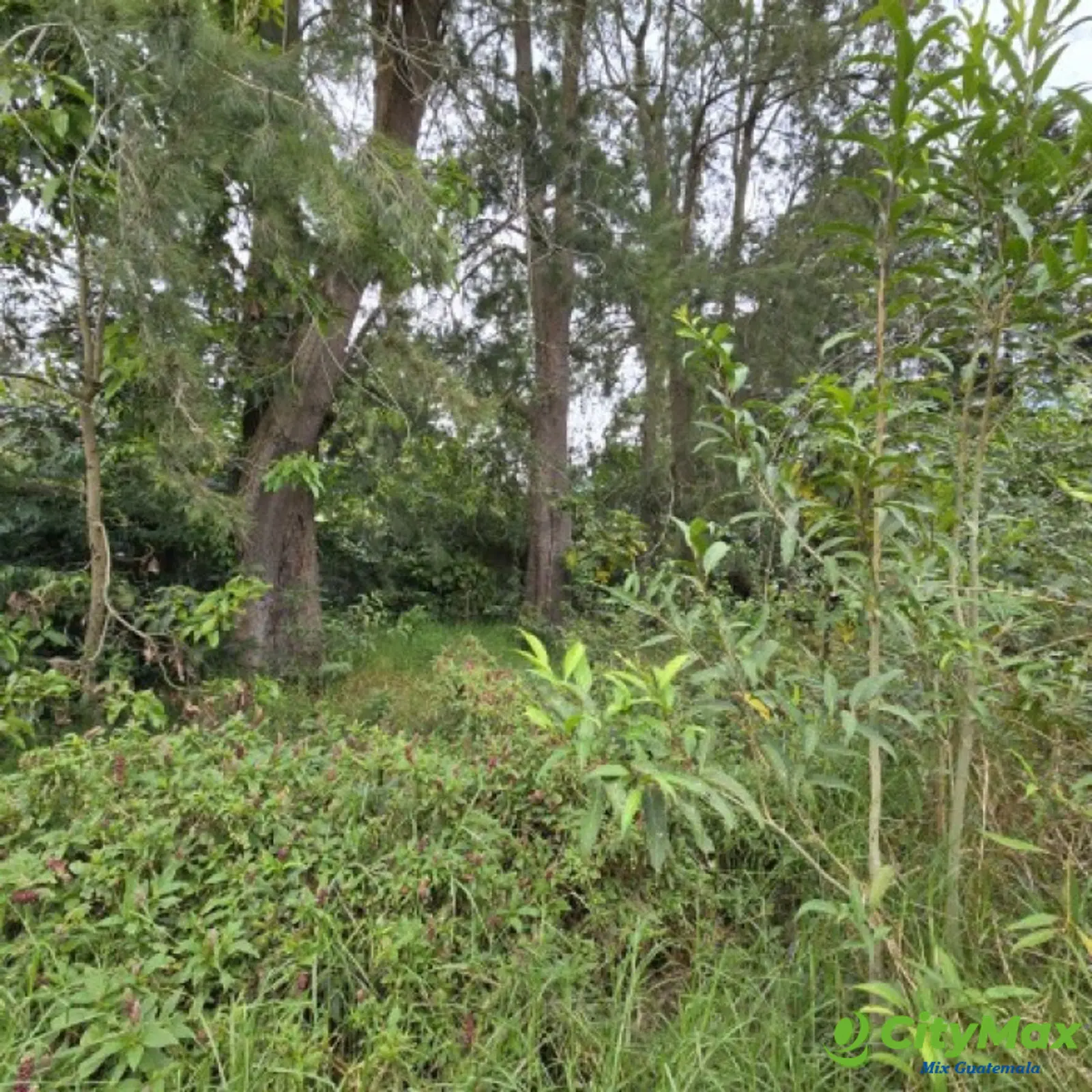 Terreno en Venta San Lucas Sacatepéquez 1,500 mts2 - foto 11