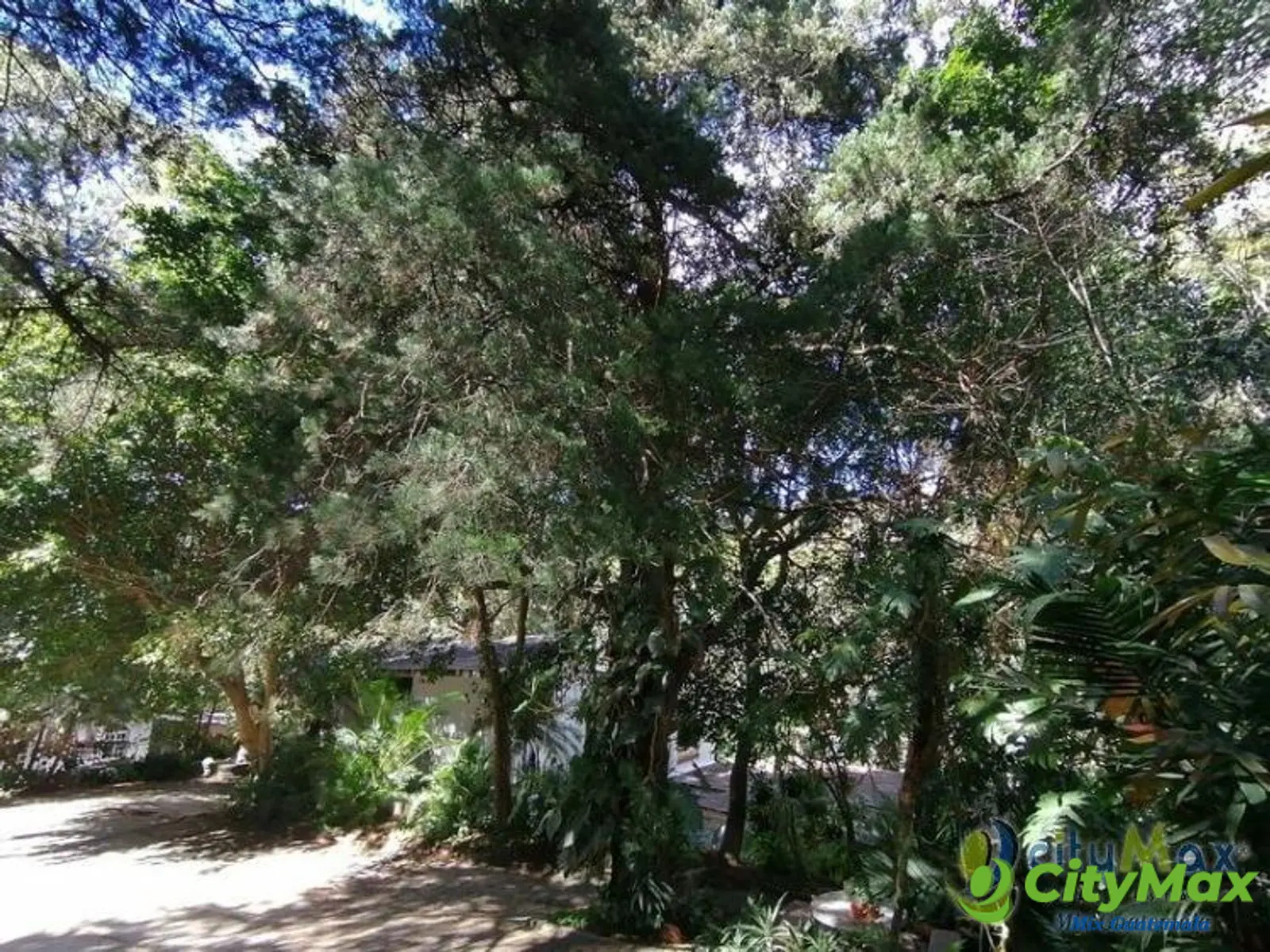 Terreno en Venta Zona 15 Guatemala, uso residencial - foto 7