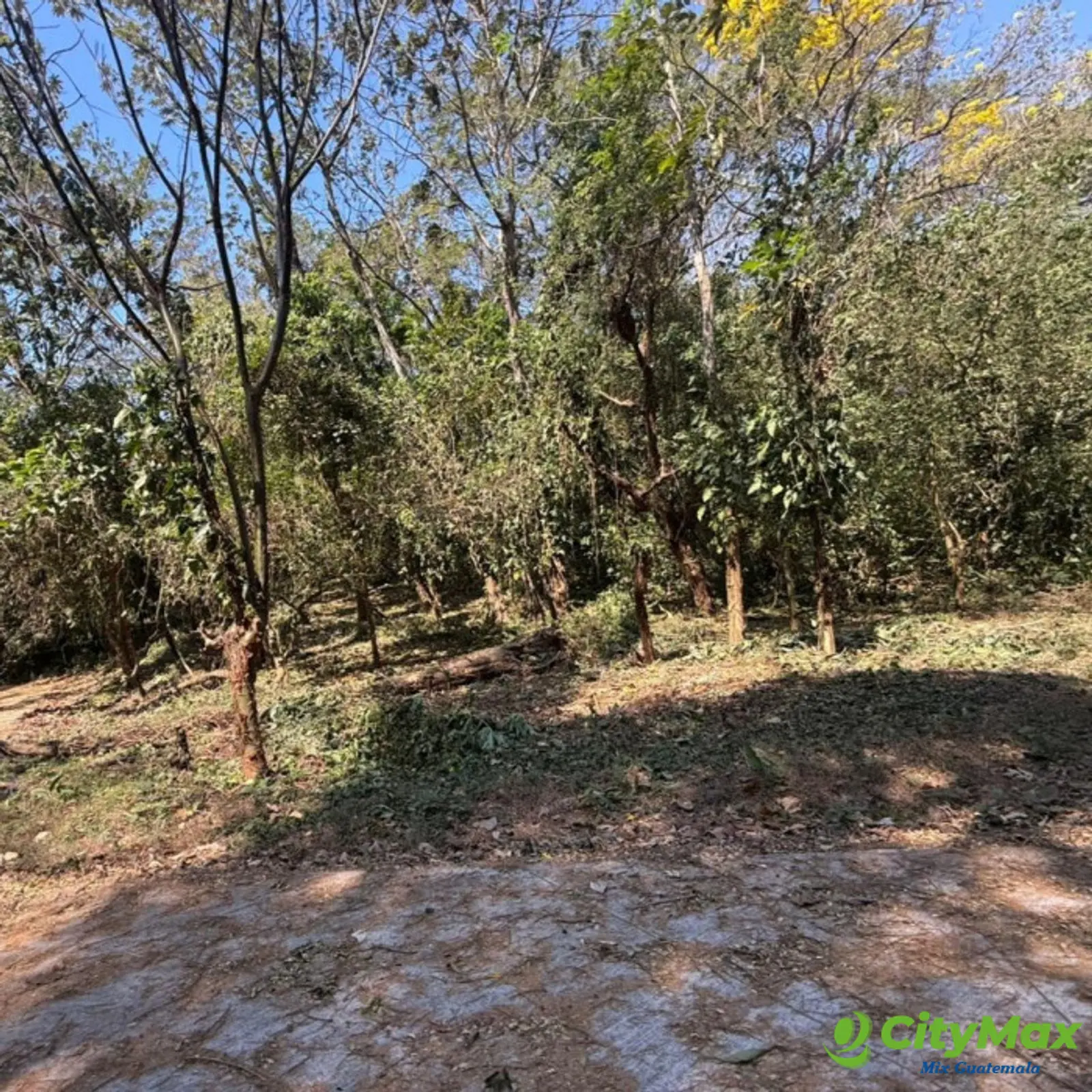 Lote en Venta RioSul, Escuintla, Guatemala - foto 3