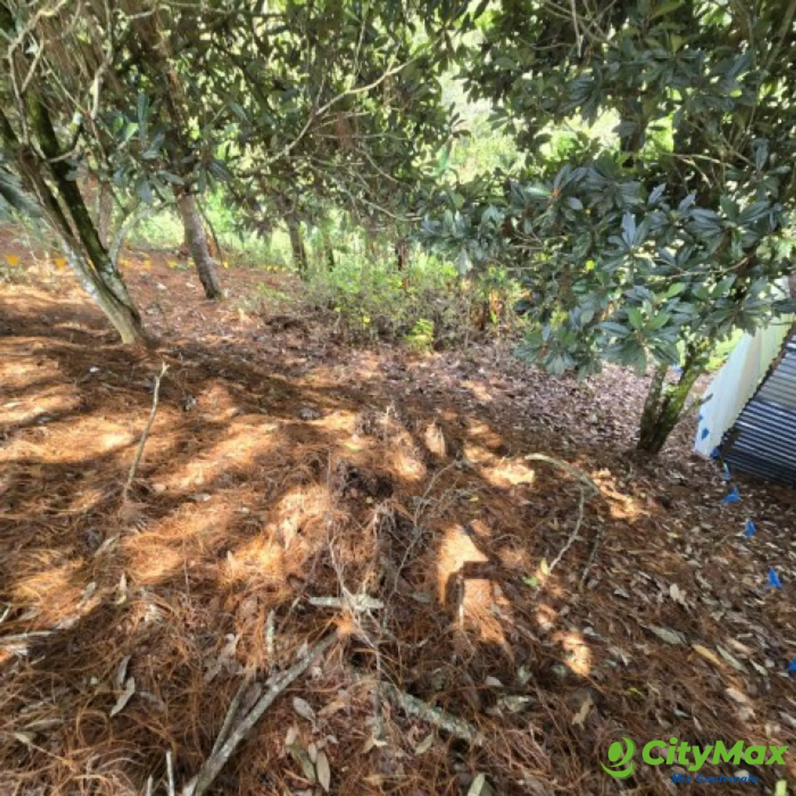 Lote en Venta Carretera a El Salvador Res. San Antonio - foto 6