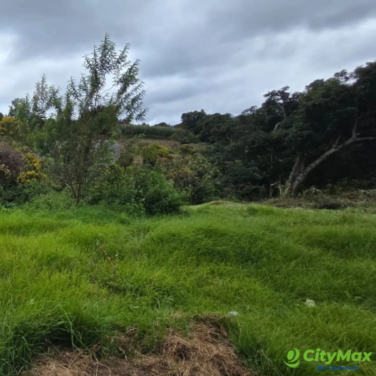 Terreno en Venta Granja Villas Alicia KM 32.9 Santiago - foto 6