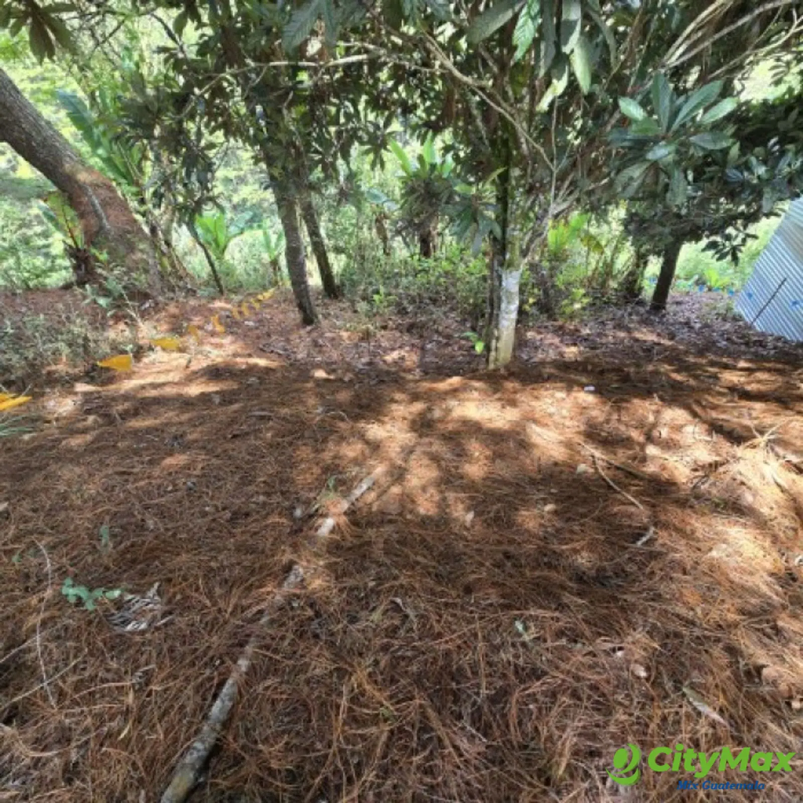 Lote en Venta Carretera a El Salvador Res. San Antonio - foto 8