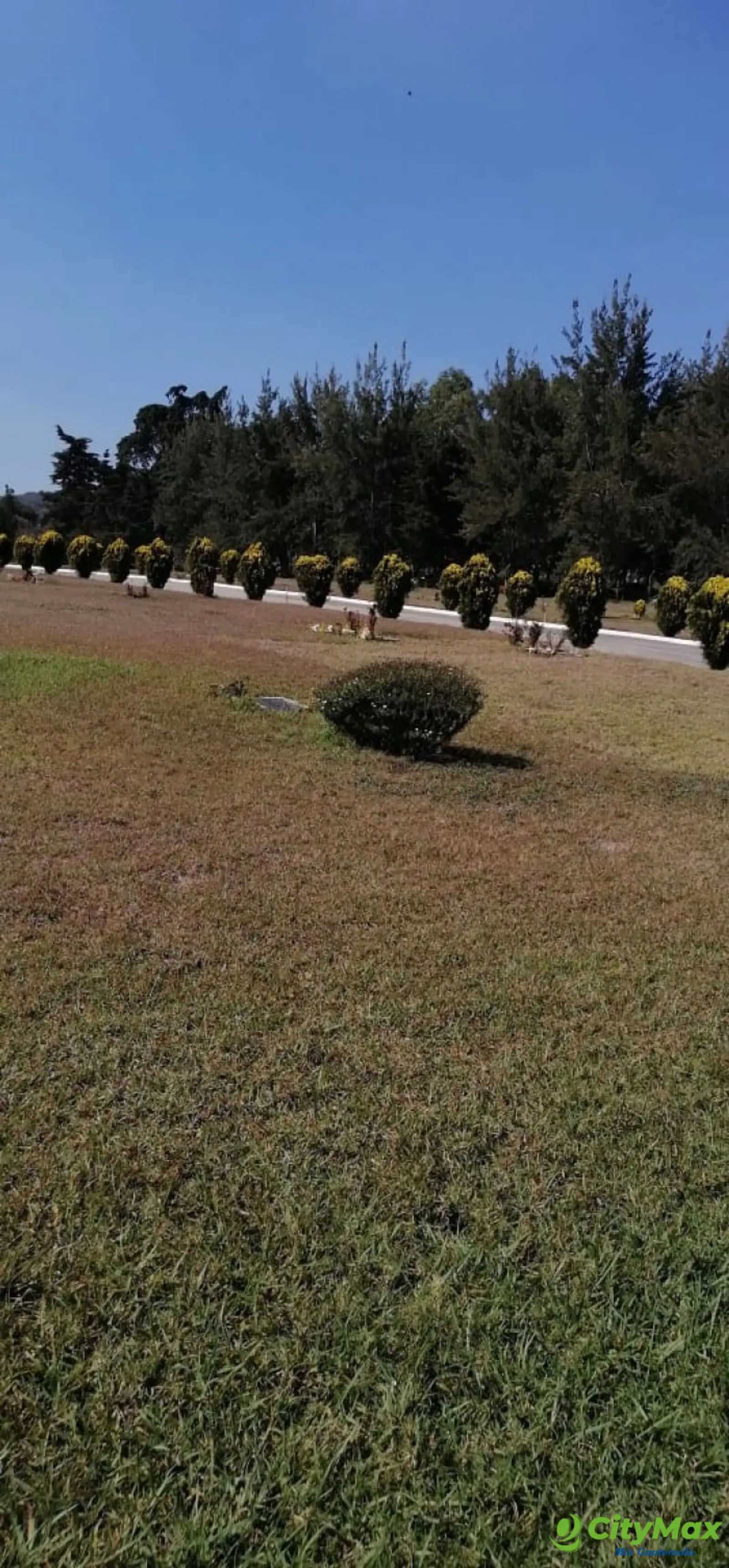 Terreno en Venta de 3 Criptas Cementerio Los Olivos CES - foto 2